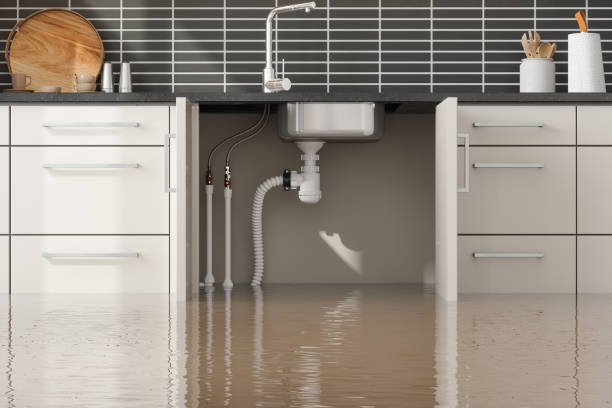 Reliable Fountain Inn, SC Water damage restoration Solutions